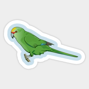 Yellow-crowned parakeet Kākāriki Sticker